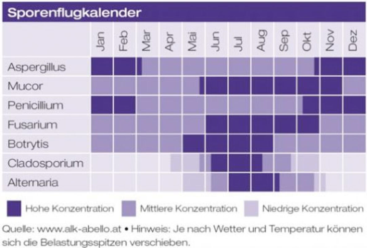 Schimmelpilz-Allergie  Interessensgemeinschaft Allergenvermeidung - I 